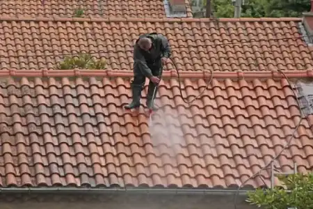 Nettoyage et démoussage de toiture à Braud-et-Saint-Louis à Braud-et-Saint-Louis